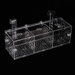 img 1 attached to 🐠 Acrylic Fish Breeding Isolation Box - Ideal Aquarium Incubator for Baby Fish, Shrimp, Clownfish