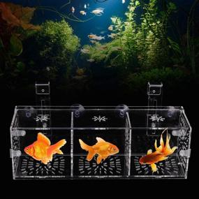 img 3 attached to 🐠 Acrylic Fish Breeding Isolation Box - Ideal Aquarium Incubator for Baby Fish, Shrimp, Clownfish