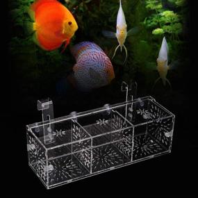 img 2 attached to 🐠 Acrylic Fish Breeding Isolation Box - Ideal Aquarium Incubator for Baby Fish, Shrimp, Clownfish