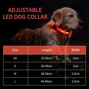 img 1 attached to 🐶 Enhanced Safety LED Dog Collar - Rechargeable, Waterproof, Light-Up Pet Collar for Maximum Visibility