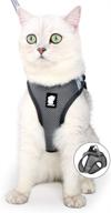 🐱 fdoylclc cat harness and leash set - escape proof, step-in design for easy control, reflective breathable air mesh vest - adjustable outdoor jacket for small, medium, large kittens logo