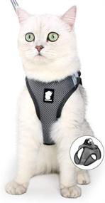 img 4 attached to 🐱 FDOYLCLC Cat Harness and Leash Set - Escape Proof, Step-in Design for Easy Control, Reflective Breathable Air Mesh Vest - Adjustable Outdoor Jacket for Small, Medium, Large Kittens