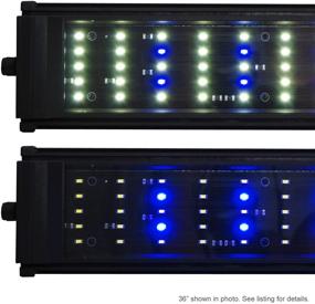 img 3 attached to 🐠 Beamswork DA 6500K 0.50W Series LED Pent Aquarium Light for Freshwater Plants and Discus Fish (80cm - 30 Inches)