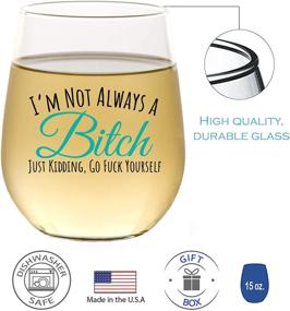 img 1 attached to 🍷 I'm Not Always - Funny Wine Glasses for Women: Perfect Gift for Best Friend, Girlfriend, Sister | Stemless 15oz, Gift Box Included!