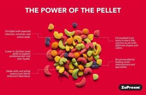 img 4 attached to 🐥 High-Quality ZuPreem FruitBlend Flavor Pellets - Nutritious Bird Food for Canaries and Finches, 10 lb - Made in USA!
