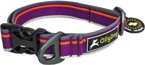 img 3 attached to 🐶 Durable and Comfortable Reflective Webbing Dog Collar with Side-Release Buckle - OllyDog Urban Journey Collar