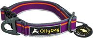 🐶 durable and comfortable reflective webbing dog collar with side-release buckle - ollydog urban journey collar logo