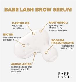 img 2 attached to Babe Lash Brow Serum