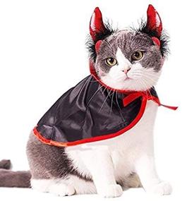 img 2 attached to 🐱 Legendog Cat Costume Halloween Pet Costumes: Red Velvet Cape with Hat for Small Dogs and Cats - Perfect Halloween Pet Apparel (Includes Cape, Horn & Hat)