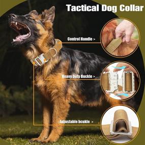 img 2 attached to 🐾 FLYSTAR Tactical Dog Collar and Leash Set: Adjustable Nylon Bungee Leash with Handle for Training Running, Heavy Duty Double Handle Collar and Leash Set for Medium to Large Dogs