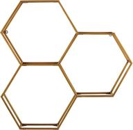 📦 rivet modern hexagon honeycomb floating wall shelf unit with glass shelves - stylish gold décor for homes - 28 x 28 x 6 inch - amazon brand logo