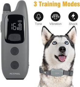 img 3 attached to 🐶 Petphil Dog Training Collar: Waterproof, Rechargeable Collar for 2 Dogs with Remote - 3 Modes, Adjustable Shock, Anti-Lost Rope