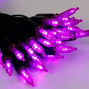 img 2 attached to 🎃 WATERGLIDE 50 LED Outdoor Halloween Lights: Waterproof Battery Operated Purple String Light for Party and Wedding Decoration, 8 Modes, 16 FT Mini Tree Lights, Perfect for Patio and Garden