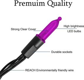 img 1 attached to 🎃 WATERGLIDE 50 LED Outdoor Halloween Lights: Waterproof Battery Operated Purple String Light for Party and Wedding Decoration, 8 Modes, 16 FT Mini Tree Lights, Perfect for Patio and Garden