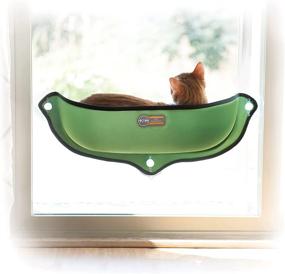 img 4 attached to Pet Products Mount Window Kitty Cats