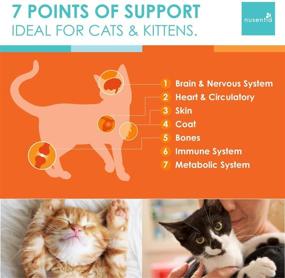 img 3 attached to Spectrin Cat Vitamins - 16 OZ Liquid Supplement for Cats - Enhanced Antioxidant & Vitamin Formula - 96 Doses