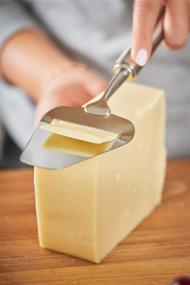 img 1 attached to 🧀 Rösle Stainless Steel Sturdy Cheese Plane: A Reliable 9.5-inch Slicer & Shaver