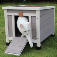 rockever weatherproof small pet house and habitats - outdoor cat house & rabbit hutch logo