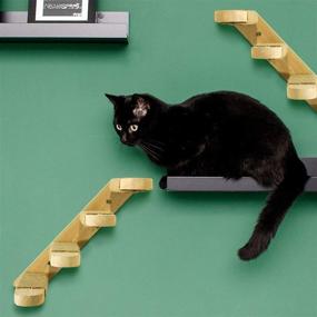 img 2 attached to 🐈 Apipi 2 Pack Wall Mounted Cat Steps: Solid Oak Climbing Shelves & Scratching Posts - Perfect Perch Platform for Cat Condos and Houses