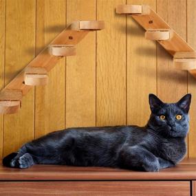 img 1 attached to 🐈 Apipi 2 Pack Wall Mounted Cat Steps: Solid Oak Climbing Shelves & Scratching Posts - Perfect Perch Platform for Cat Condos and Houses