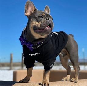 img 2 attached to 🐶 ChoChoCho Stylish Dog Hoodie: Trendy Cotton Sweatshirt for Fashionable Dogs & Cats of All Sizes