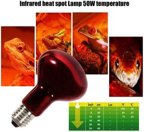 img 2 attached to 🔥 MCLANZOO 2 Pack 50W Reptile Heat Lamp Bulb | Infrared Basking Spot Heat Lamp for Reptiles, Bearded Dragon, Amphibians | Ideal for Chicks, Dog Heating | Includes Stick-on Digital Temperature Thermometer