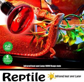 img 1 attached to 🔥 MCLANZOO 2 Pack 50W Reptile Heat Lamp Bulb | Infrared Basking Spot Heat Lamp for Reptiles, Bearded Dragon, Amphibians | Ideal for Chicks, Dog Heating | Includes Stick-on Digital Temperature Thermometer