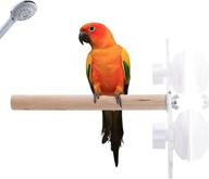 🐦 kama bridal bird wood shower perch, window glass bird stand, parrot perch with suction cup for home and outdoor birdcage, ideal for parakeets and cockatiels logo