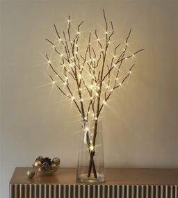 img 4 attached to 🌟 LITBLOOM Lighted Brown Willow Branches 32IN 100 LED with Timer Battery Operated for Holiday Christmas Decoration Indoor Outdoor Use - Warm White Lights