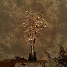 img 3 attached to 🌟 LITBLOOM Lighted Brown Willow Branches 32IN 100 LED with Timer Battery Operated for Holiday Christmas Decoration Indoor Outdoor Use - Warm White Lights