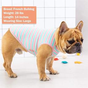 img 1 attached to 🐶 2-Pack KYEESE Striped Cotton Dog T-Shirts for Small-Medium Dogs - Soft Sleeveless Vest Dog Tee Shirt Apparel