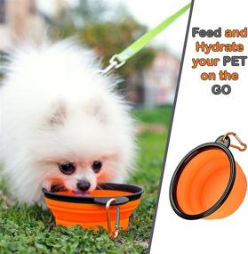 img 1 attached to 🐾 Convenient and Versatile Pet Travel Essential Kit: B-COMFORT Dog Car Seat Belt, Collapsible Bowl, Frisbee Toy