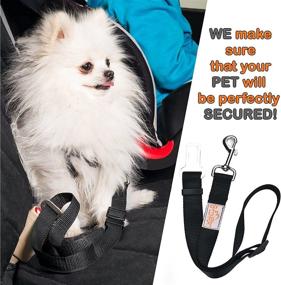 img 3 attached to 🐾 Convenient and Versatile Pet Travel Essential Kit: B-COMFORT Dog Car Seat Belt, Collapsible Bowl, Frisbee Toy