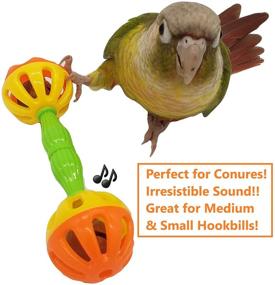 img 2 attached to 🦜 Tropical Chickens Small Bird Parrot Toy: Enrichment Rattle Bells for Parakeets, Conures, Cockatiels, Love Birds, Green Cheek - Small Birds' Foraging Foot Toy