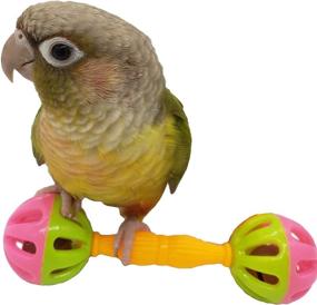 img 3 attached to 🦜 Tropical Chickens Small Bird Parrot Toy: Enrichment Rattle Bells for Parakeets, Conures, Cockatiels, Love Birds, Green Cheek - Small Birds' Foraging Foot Toy