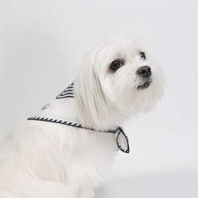 img 1 attached to Striped Bandana Accessories Modern Pups