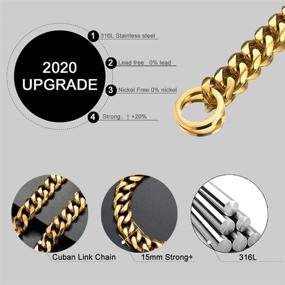 img 3 attached to Stylish and Durable 18K Gold Cuban Link Dog Collar: ToBeTrendy Chain Dog Training Walking Collar – Heavy Duty Slip Collar for Medium Large Dogs (16-26 in)