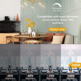 img 1 attached to Dimmable OmiBrite 5-Inch LED Candelabra Light Bulb