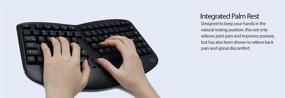 img 2 attached to Adesso WKB-1150CB Easytouch Wireless Wave Combo - Curved Comfort Multimedia Keyboard and Mouse Combo in Black