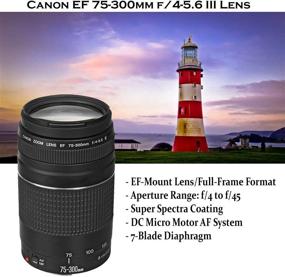 img 1 attached to 📷 Canon EOS Rebel T7 DSLR Camera Bundle with 18-55mm is II Lens, Canon EF 75-300mm f/4-5.6 III Lens, 500mm Preset Lens, 32GB Memory, Filters, Monopod, and Professional Accessories for Enhanced Photography Experience