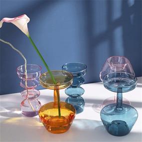 img 3 attached to JSPYFITS Transparent Hydroponic Decorative Exhibition Home Decor