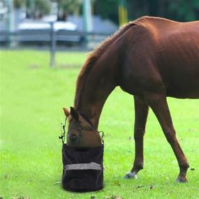 img 3 attached to 🐴 Hersent Heavy Duty PVC Mesh Horse Feed Bag with Adjustable Strap, Durable Snap and Elastic Straps - Ideal for Grazing Muzzle and Feed Rite