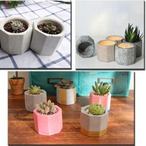 img 2 attached to Versatile 4 Pack Silicone Molds: Succulent Planters, Shot Glasses, Candle Holders & Small Plant Moulds for DIY Crafts