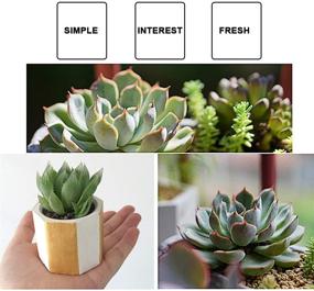 img 3 attached to Versatile 4 Pack Silicone Molds: Succulent Planters, Shot Glasses, Candle Holders & Small Plant Moulds for DIY Crafts