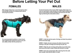 img 2 attached to Vet Recommended After-Surgery Wear: E-Collar Alternative for Cats and Dogs