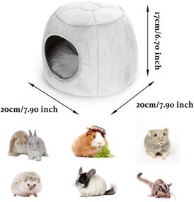 img 3 attached to 🐹 Missrir Guinea Pig Cave Beds: Cozy House for Rats, Chinchilla, Degu, Ferrets, Hedgehog, Sugar Glider - Pumpkin Shaped Small Pet House