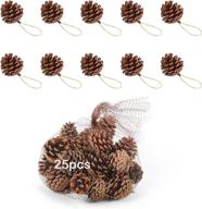ddhs christmas pinecones ornaments decorating logo