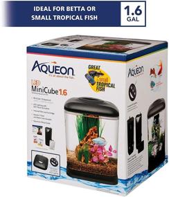 img 2 attached to 🐠 Discover the Aqueon LED MiniCube Desktop Aquarium Kit in Black - Perfect 1.6 Gallon Delight