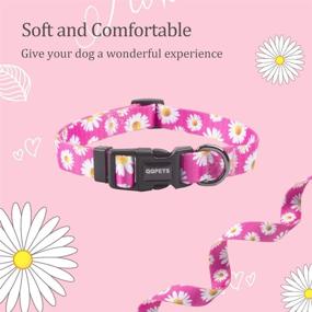 img 1 attached to 🐶 QQPETS Dog Collar: Soft, Comfortable & Adjustable Collars for Outdoor Training, Walking, and Running - Ideal for Small, Medium & Large Dogs