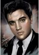 painting embroidery pictures decoration（elvis presley） logo